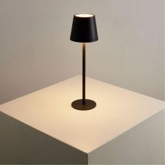 Настольная лампа декоративная Arte Lamp Fuyue A1614LT-1BK | фото 2